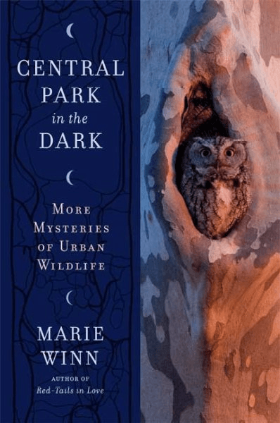 Central Park in the Dark book cover