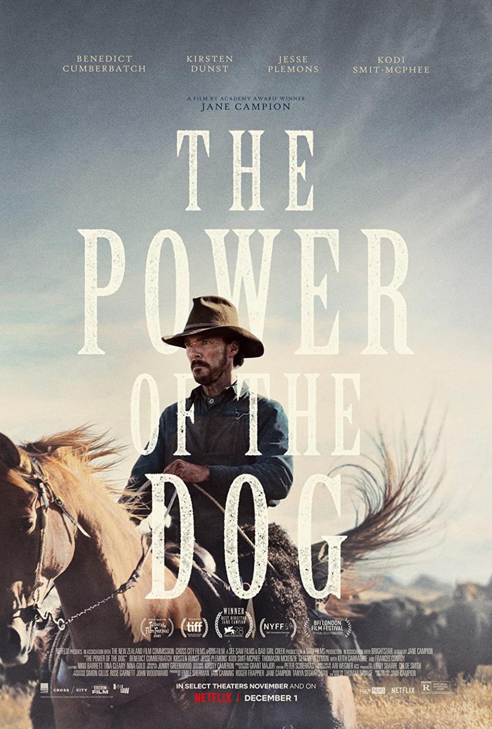 movie poster for The Power of the Dog