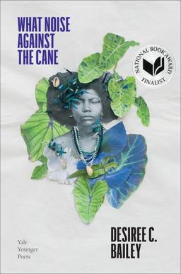 book cover of What Noise Against the Cane