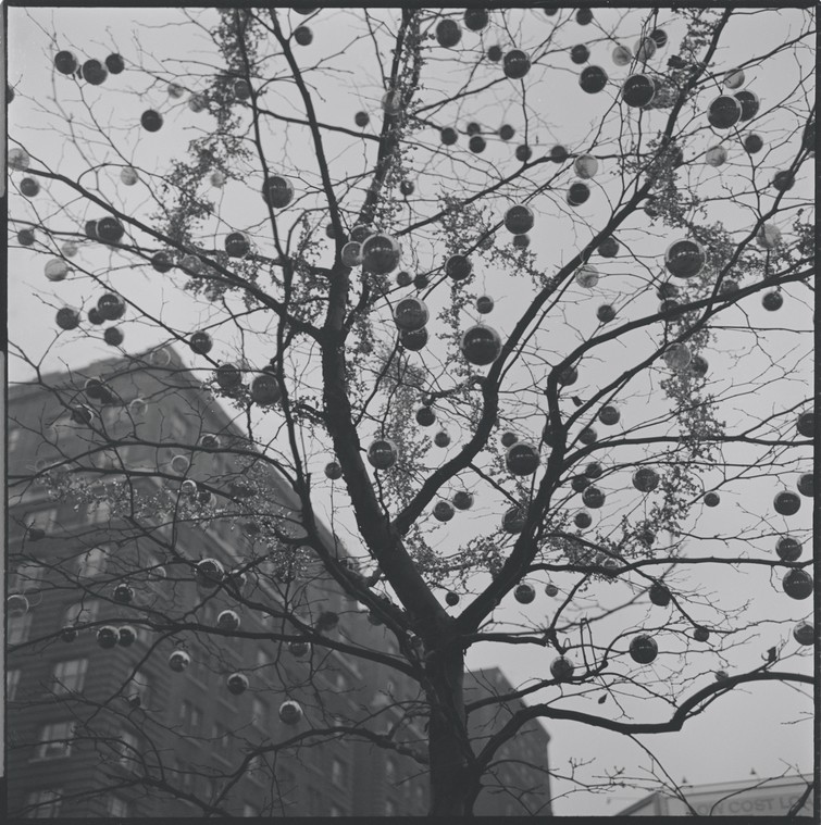 Black and white photo of a bare tree with ornaments