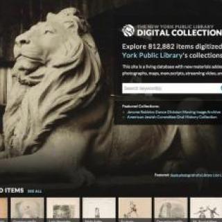 Screenshot of Digital Collections featuring a marble lion statue.