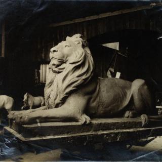 A marble Library lion