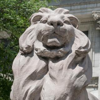 A closeup shot of one of the NYPL lion statues