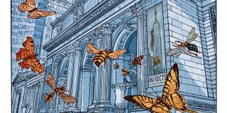 butterflies flying into main entrance of library