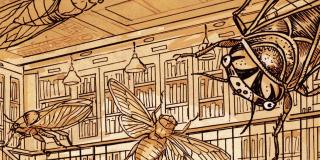 drawing of cicadas in a reading room