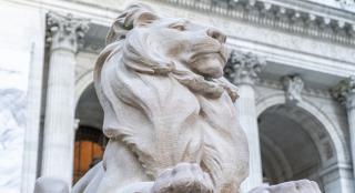 Photo of lion statue outside of the Stephen A. Schwarzman Building