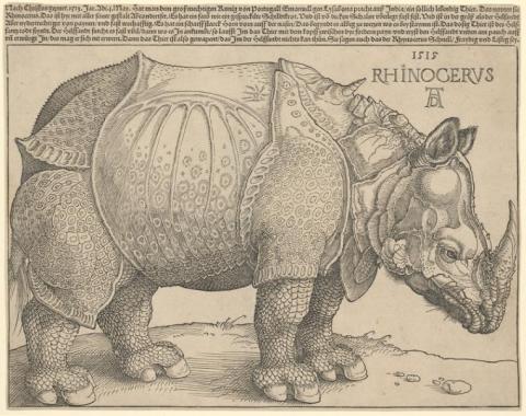 Black and white print of a rhinocerus.